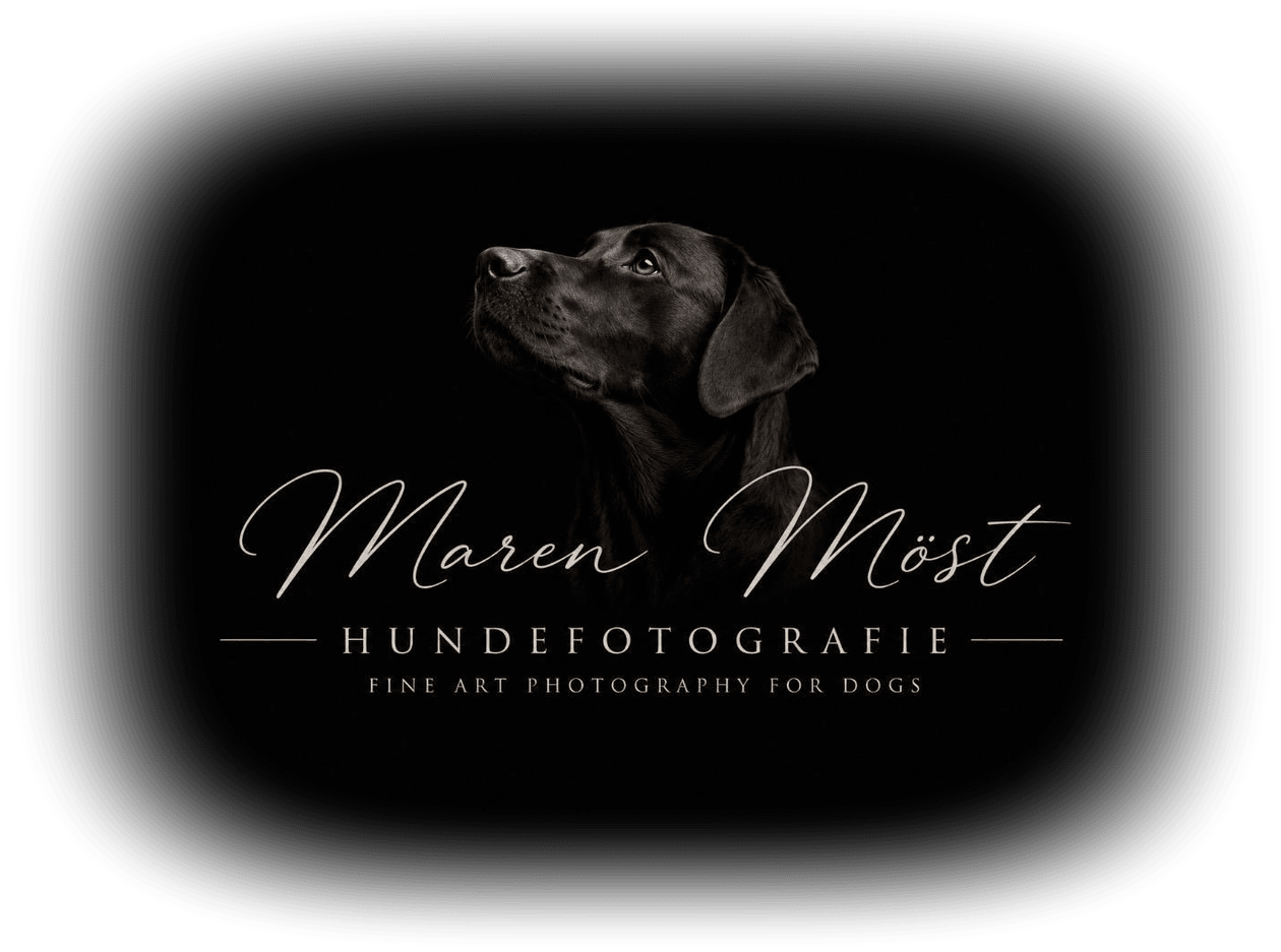 Maren Möst Hundefotografie – Fine Art Photography for Dogs